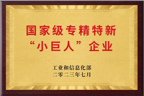 “小巨人”企業(yè)